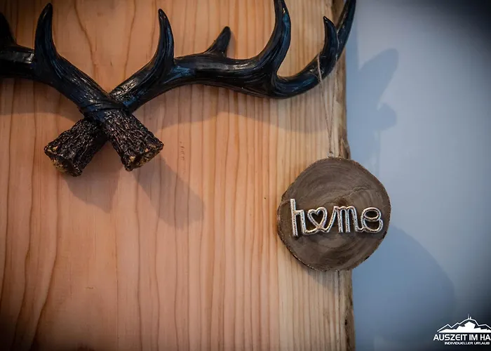 公寓 Auszeit-im-harz Haus 3 4