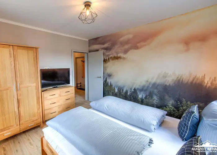 公寓 Auszeit-im-harz Haus 3 4 布劳恩拉格